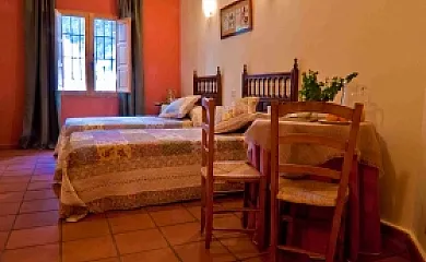 Miel y Romero en Sevilleja De La Jara (Toledo) - Foto 5