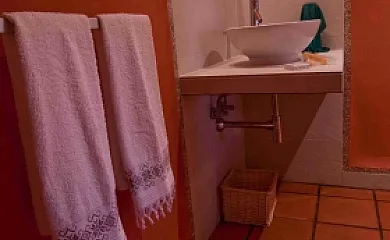 Miel y Romero en Sevilleja De La Jara (Toledo) - Foto 6