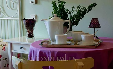 Miel y Romero en Sevilleja De La Jara (Toledo) - Foto 15