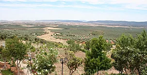 Casa Rural Los Rosales 0013