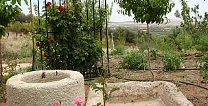 Casa Rural Los Rosales 0029