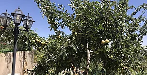 Casa Rural Los Rosales 0030