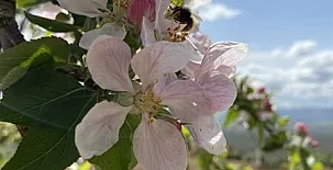 Casa Rural Los Rosales 0031