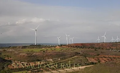 El Sueño de Lucrecia en Villarrubia De Santiago (Toledo) - Foto 20