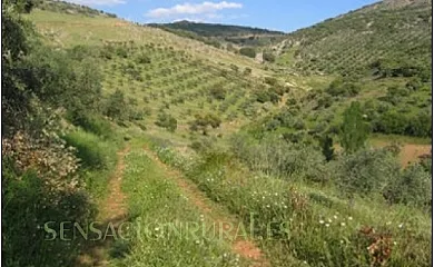 Casas Rurales Vallecasar y La Cerecera en Los Navalucillos (Toledo) - Foto 20