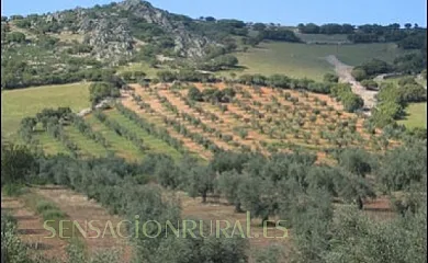 Casas Rurales Vallecasar y La Cerecera en Los Navalucillos (Toledo) - Foto 21