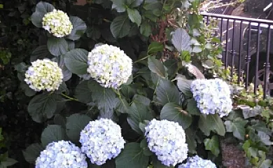 Casa El Fortín en Gata (Cáceres) - Foto 4