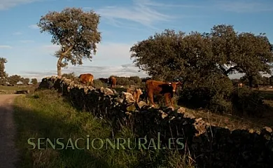 Las Gamitas en Almoharín (Cáceres) - Foto 17