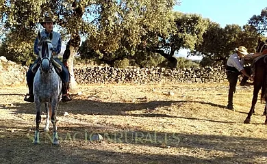 Las Gamitas en Almoharín (Cáceres) - Foto 19