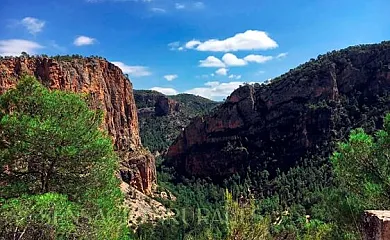 Casas Rurales Tío Segundo en Casas de Juan Gil (Albacete) - Foto 21