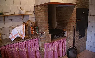 AgroLavia en Bullas (Murcia) - Foto 12