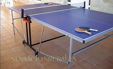 AgroLavia en Bullas (Murcia) - Foto 15