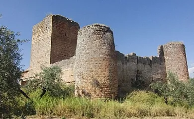 Cortijo de la Aragonesa en Marmolejo (Jaén) - Foto 18