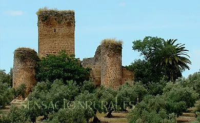 Cortijo de la Aragonesa en Marmolejo (Jaén) - Foto 19