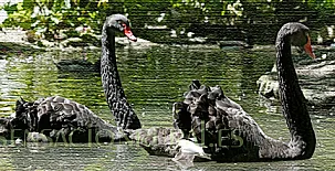 Molino del Puente 004