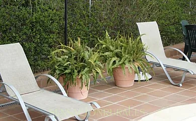 Casa Fernandi en Posadas (Córdoba) - Foto 17