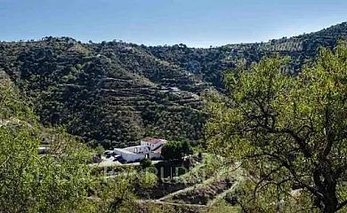 Cortijo Juan Salvador en Colmenar (Málaga) - Foto 16