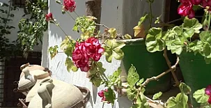 La Casa de Corruco 002