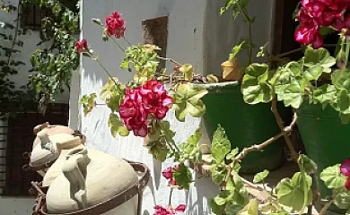 La Casa de Corruco en Casabermeja (Málaga) - Foto 2