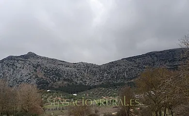 Molino Jabonero en Villanueva Del Trabuco (Málaga) - Foto 8