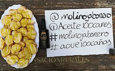 Molino Jabonero en Villanueva Del Trabuco (Málaga) - Foto 21