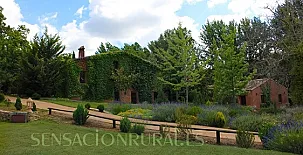 Molinos de Fuenteheridos 002