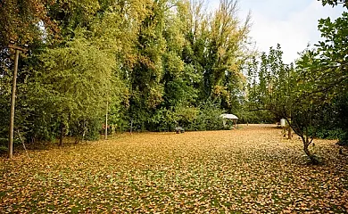 Molinos de Fuenteheridos en Fuenteheridos (Huelva) - Foto 16