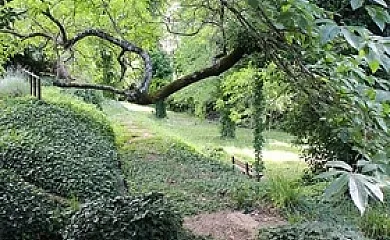 Molinos de Fuenteheridos en Fuenteheridos (Huelva) - Foto 17