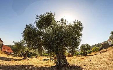 Los Montes Casas Rurales en Corte (Huelva) - Foto 15