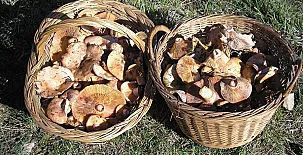 El Mirador de las Tejadas 0014