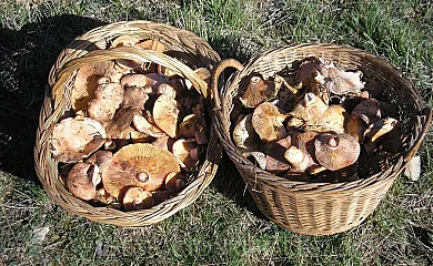 El Mirador de las Tejadas en Alobras (Teruel) - Foto 14