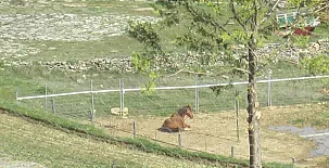 El Mirador de las Tejadas 0016