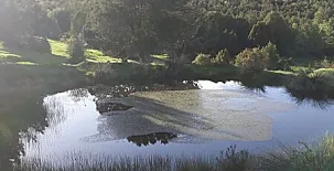 El Mirador de las Tejadas 0018