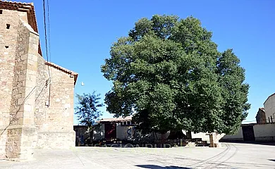 El Mirador de las Tejadas en Alobras (Teruel) - Foto 19