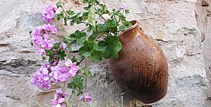 Casa Rural Tres Palacios 002