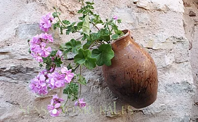 Casa Rural Tres Palacios en Molina de Aragón (Guadalajara) - Foto 2