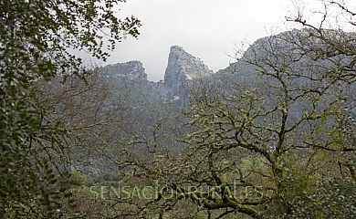 Casa Nazarí en Benaocaz (Cádiz) - Foto 18