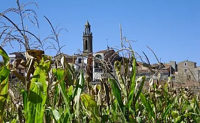 CA LA CÈLIA en Montgai (Lleida) - Foto 21