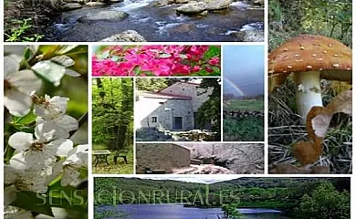 Casa Rural Al Patio en Los Loros (Ávila) - Foto 8