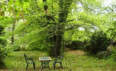 Casa Rural Al Patio en Los Loros (Ávila) - Foto 12