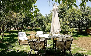 Casa Laurel 2 dormitorios en Tacoronte (Santa Cruz de Tenerife) - Foto 19