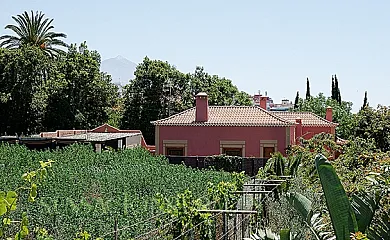 Casa Laurel 2 dormitorios en Tacoronte (Santa Cruz de Tenerife) - Foto 20