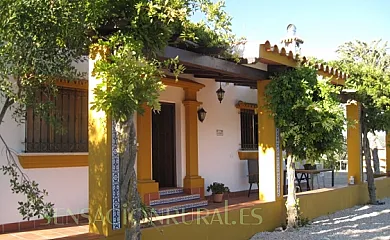 La Colina en Villanueva Del Rosario (Málaga) - Foto 2