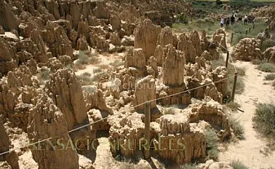 Casa Rural Miguel en Farasdues (Zaragoza) - Foto 17