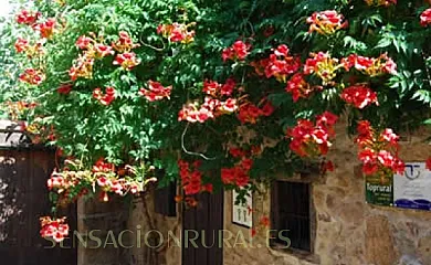 Las 4 ESQUiNAS_Casillón 1&2 en Segura de Toro (Cáceres) - Foto 16