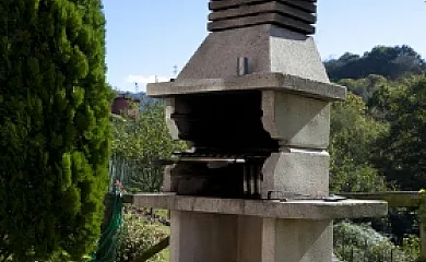 El pongallin en Piloña (Asturias) - Foto 2