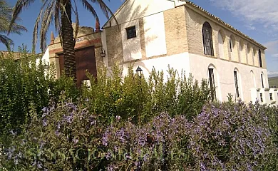 Cortijo San Francisco en Aguilar de la Frontera (Córdoba) - Foto 1