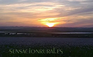 Santa Catalina en Villamartin (Cádiz) - Foto 3