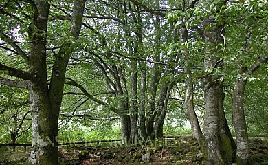 Olatzea en Arbizu (Navarra) - Foto 7