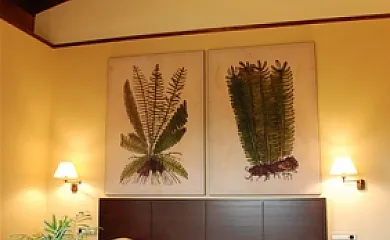 Olatzea en Arbizu (Navarra) - Foto 14